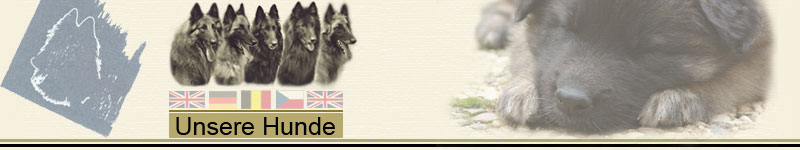 Banner_Unsere-Hunde
